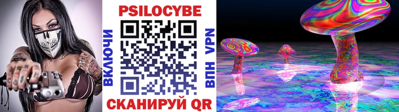 mega онион Кисловодск Галлюциногенные грибы Psilocybe купить наркотик