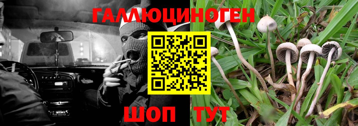 Псилоцибиновые грибы прущие грибы  Вход с VPN  Кисловодск 