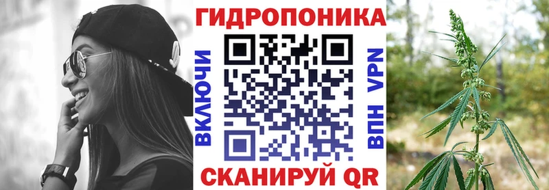 Шишки марихуана ГИДРОПОН Кисловодск