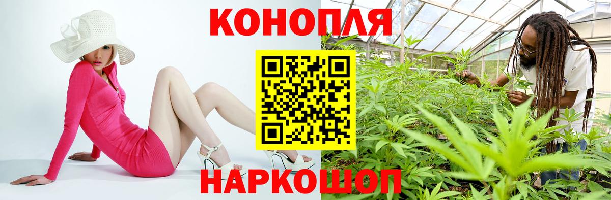 Марихуана сатива Кисловодск